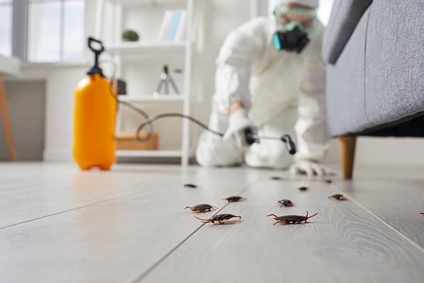 Trusted Cockroach Control service in Sussex, WI - Nex Pest Control
